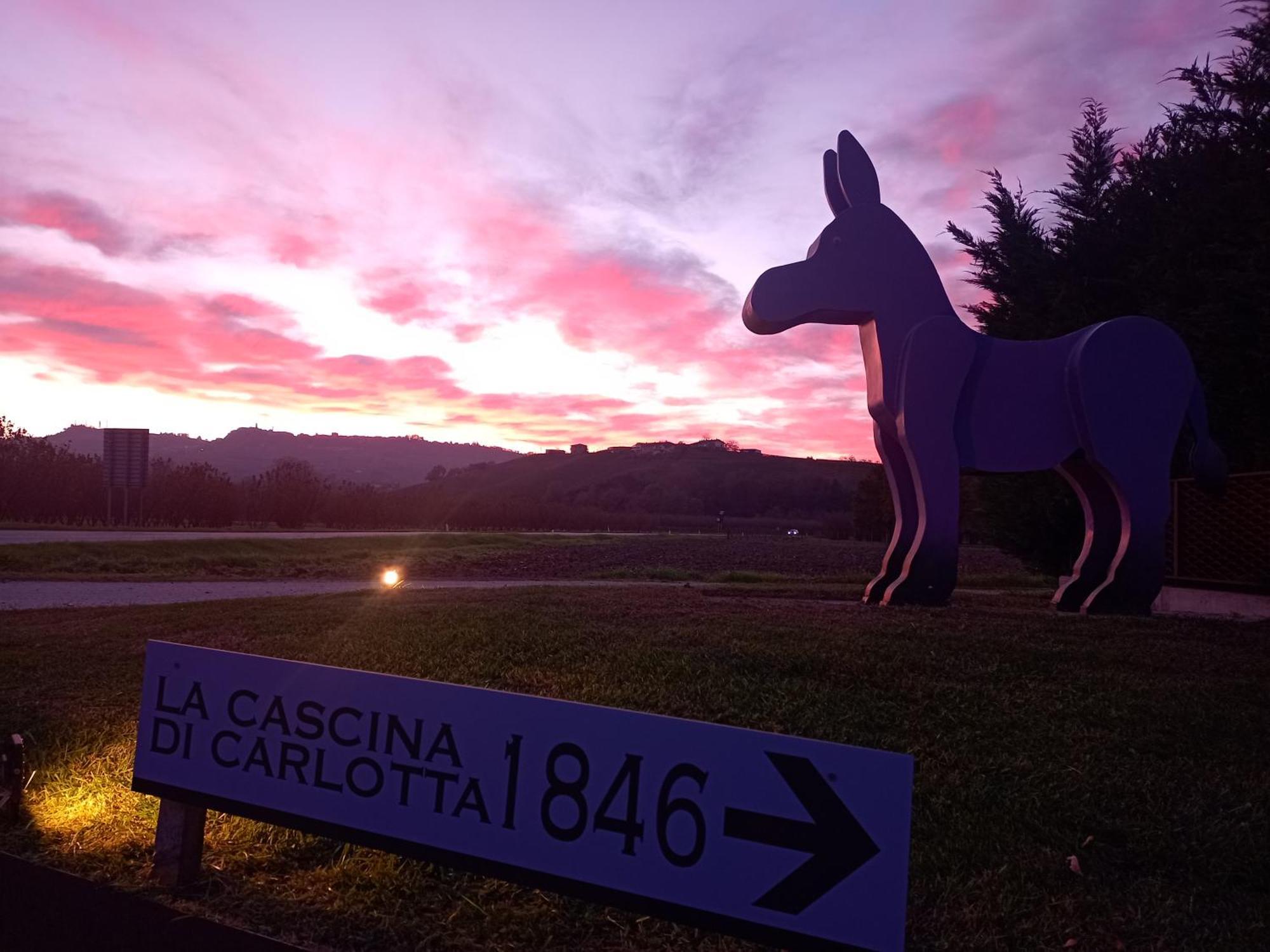 La Cascina Di Carlotta 1846 Agriturismo Alba  Ngoại thất bức ảnh
